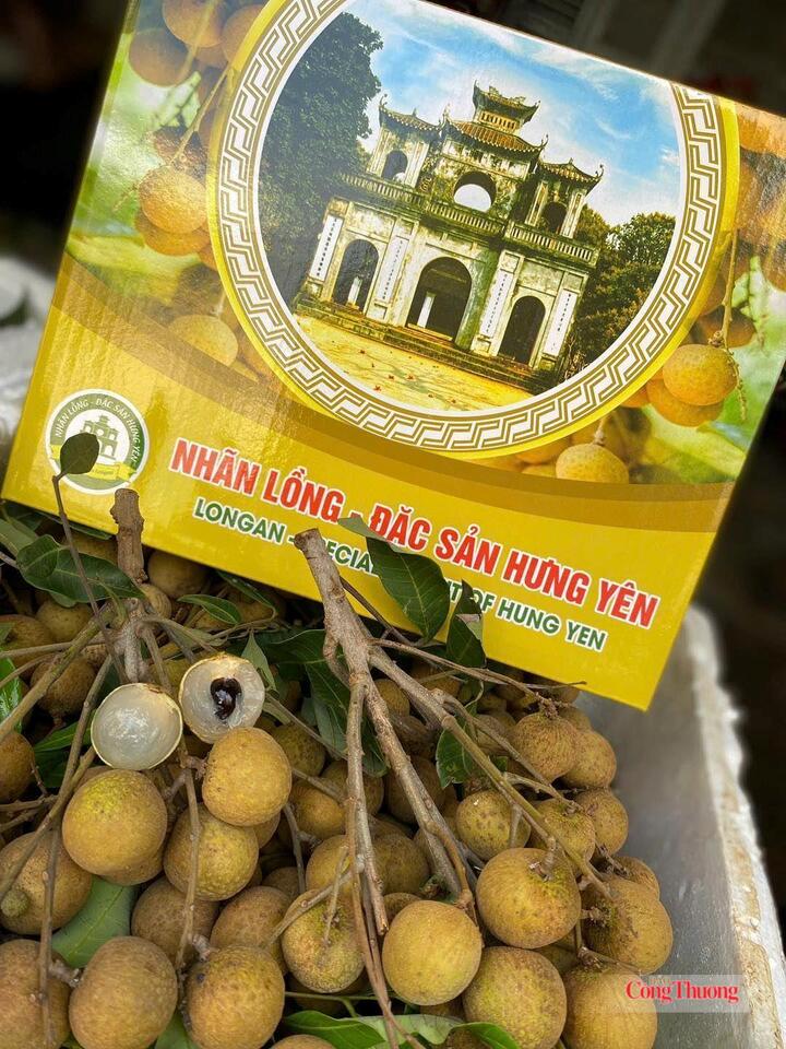 Sở Khoa học và Công nghệ Hưng Yên đã trao Giấy ghi nhận sử dụng chỉ dẫn địa lý "Hưng Yên" với sản phẩm nhãn lồng cho 26 hợp tác xã, hộ trồng nhãn của tỉnh. Ảnh minh họa: Minh Trang