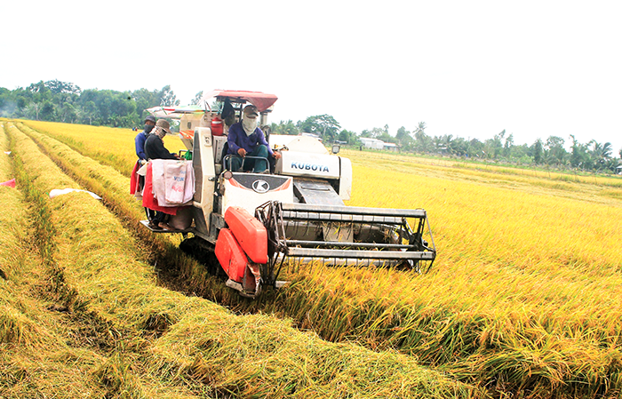 Giá trị sản xuất khu vực nông, lâm nghiệp và thủy sản của xã Đông Hiệp được hơn 595,2 tỉ đồng
